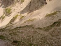 2014-08-02_06FritzPflaum-Steig (289).JPG
